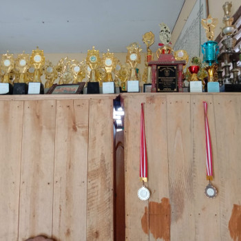 SMPN 3 Muara Sugihan mempersembahkan 2 medali pada OSN Tingk